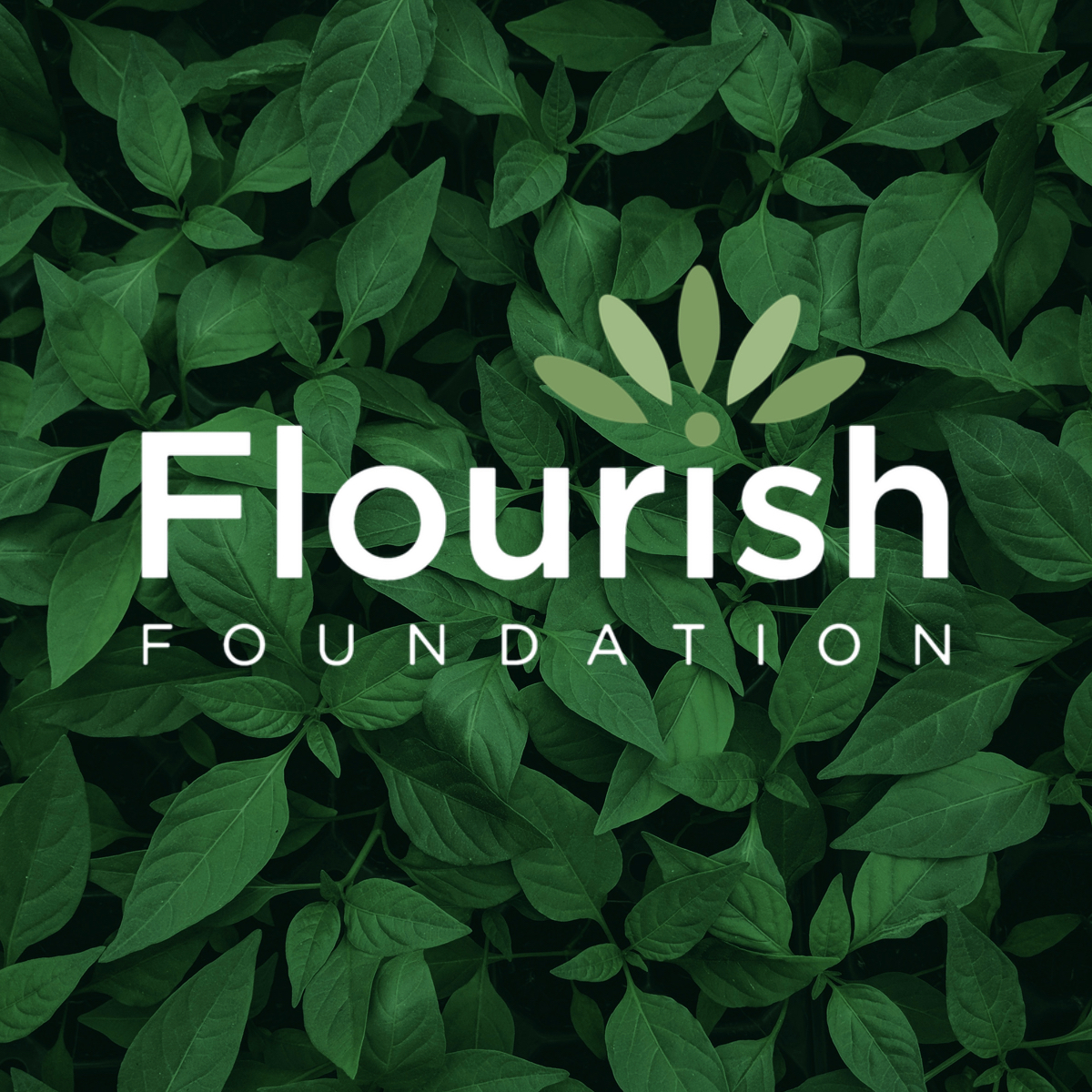 Mindful Self-Compassion & Poetry Workshop - logo